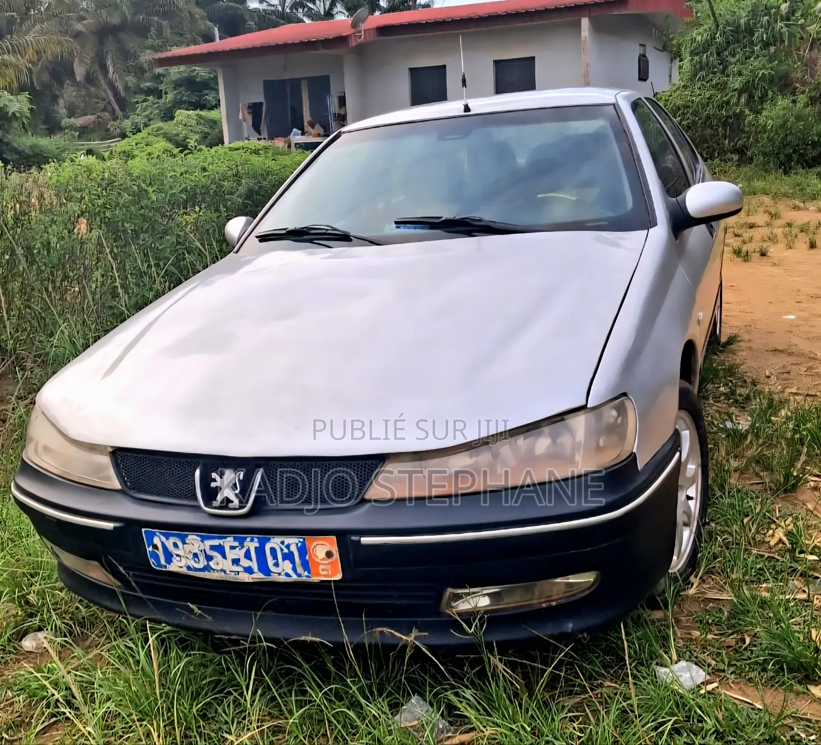 Peugeot 406 Coupe 2002 Gris