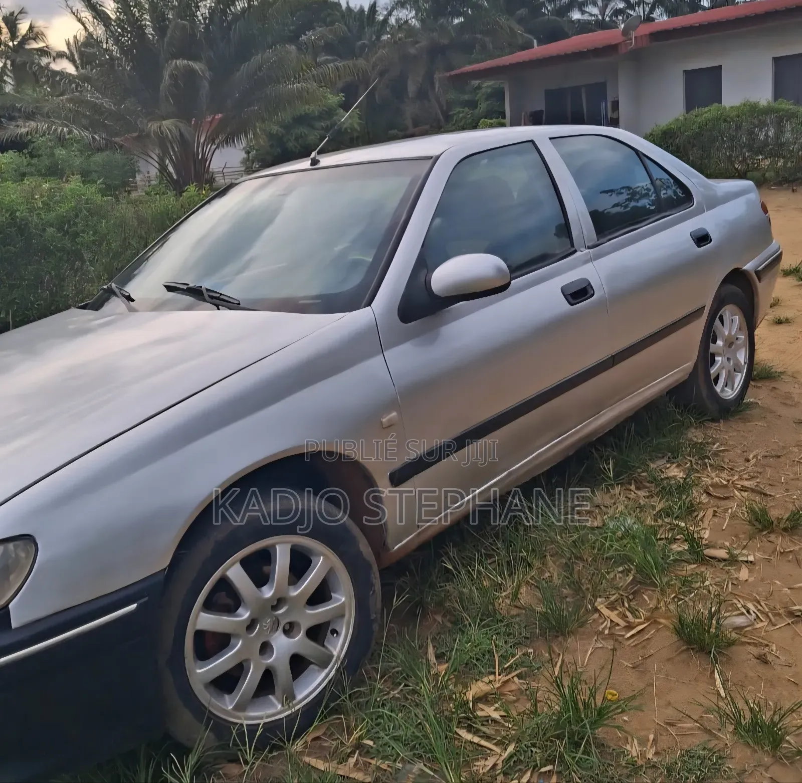 Peugeot 406 Coupe 2002 Gris