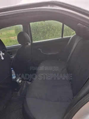 Peugeot 406 Coupe 2002 Gris