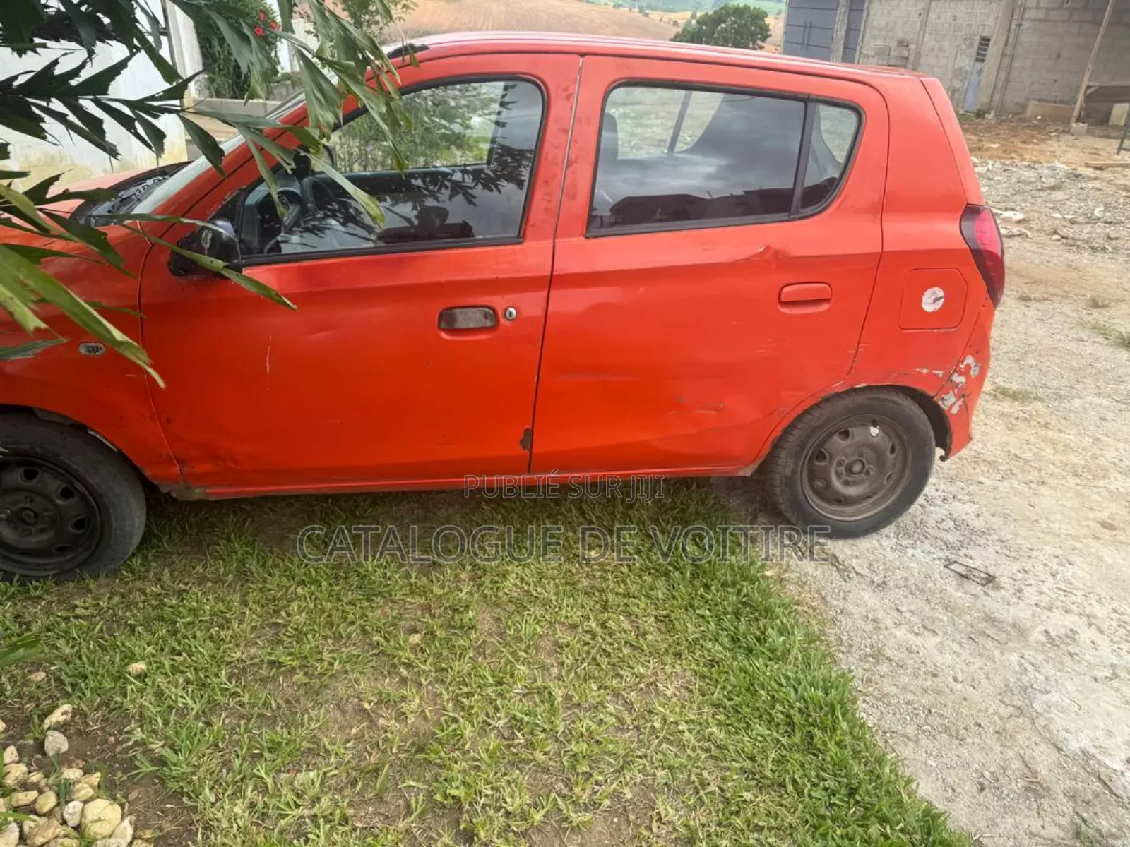 Suzuki Alto 2023 Orange