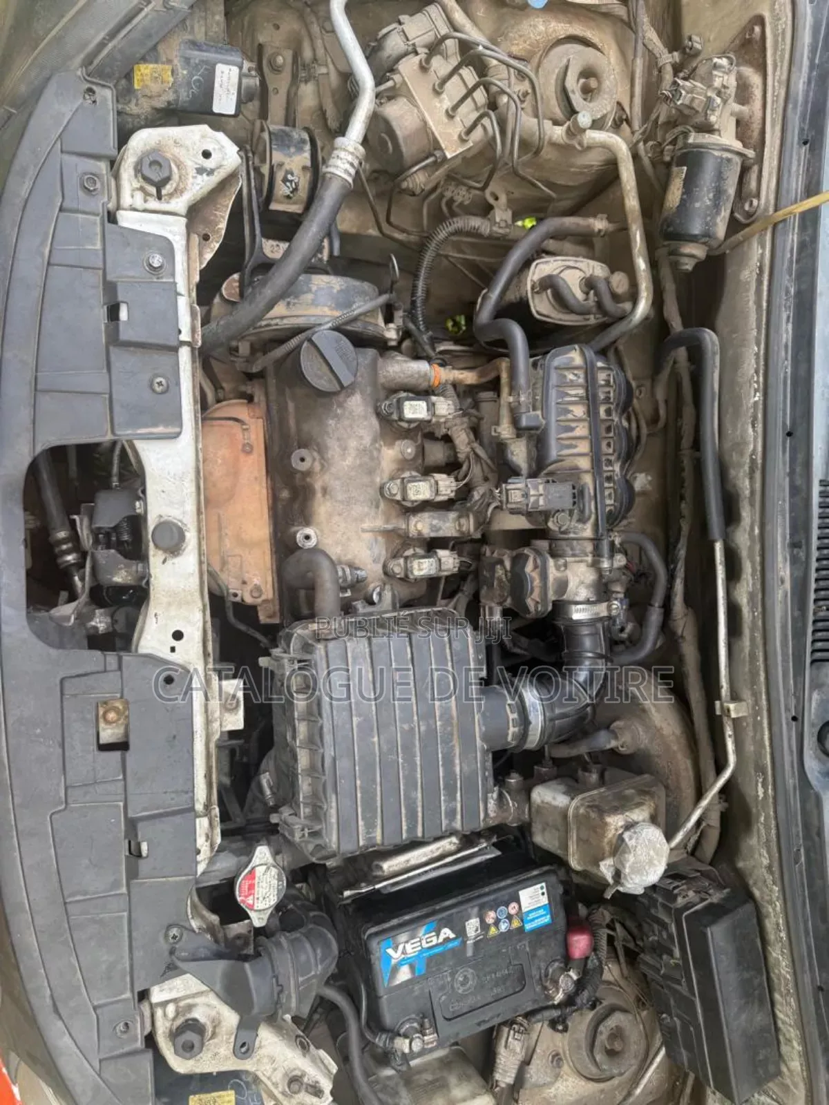 Suzuki Alto 2023 Orange