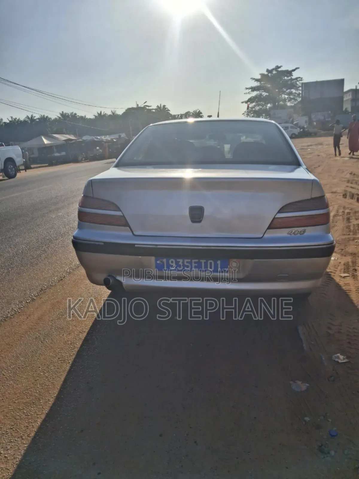 Peugeot 406 Coupe 2001 Gris