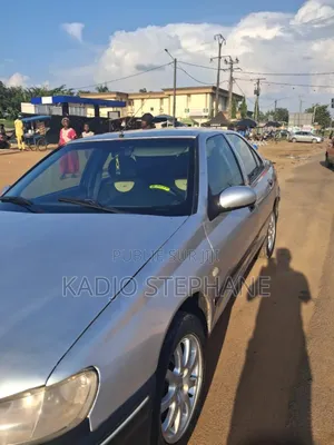Peugeot 406 Coupe 2001 Gris