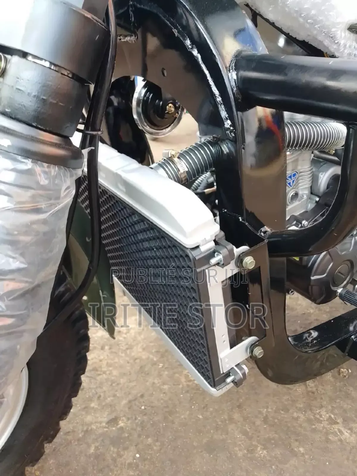 New Royal Moto/Vélomoteurs 2024 Vert