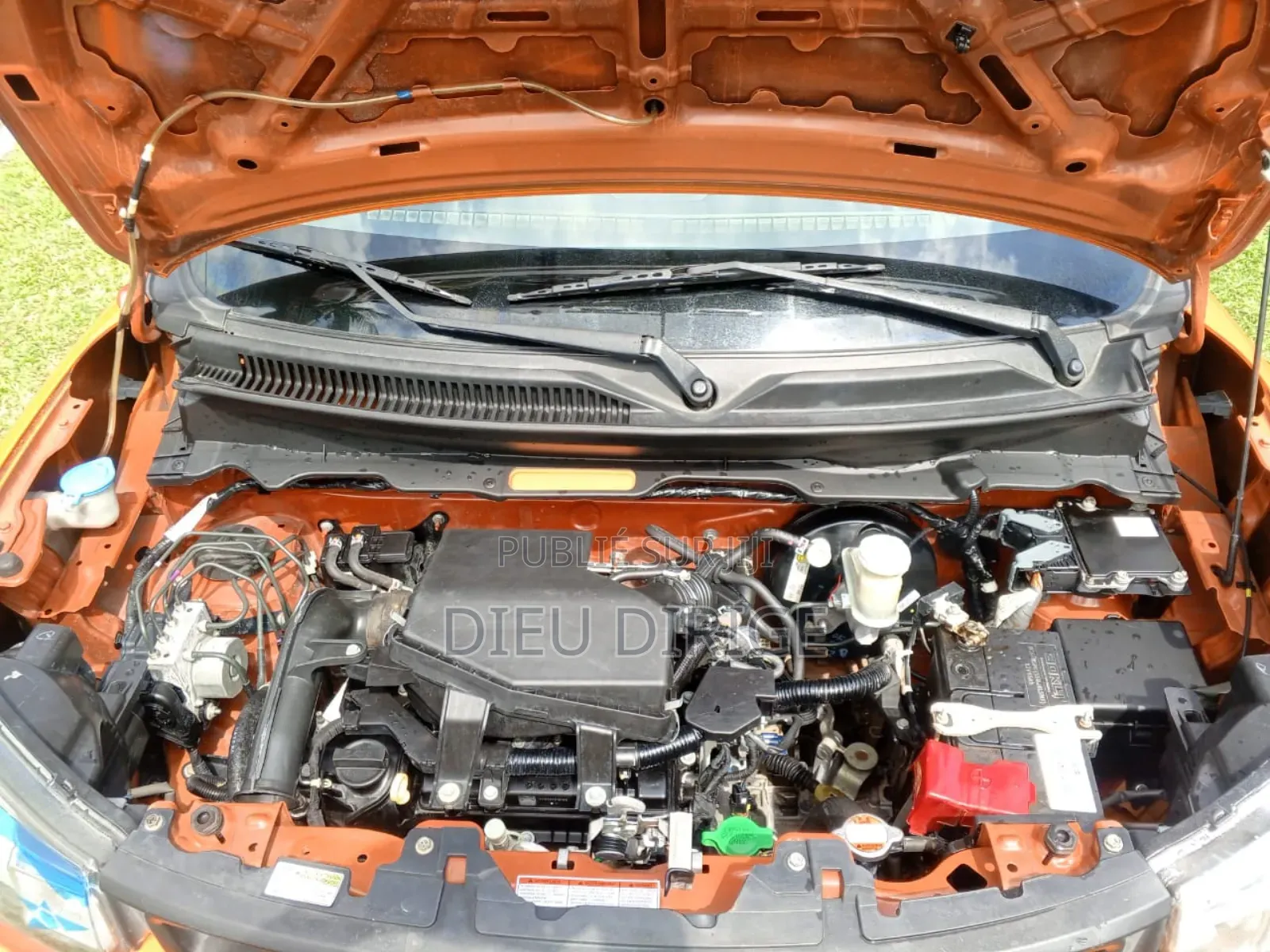 New Suzuki S-Presso 2025 Orange