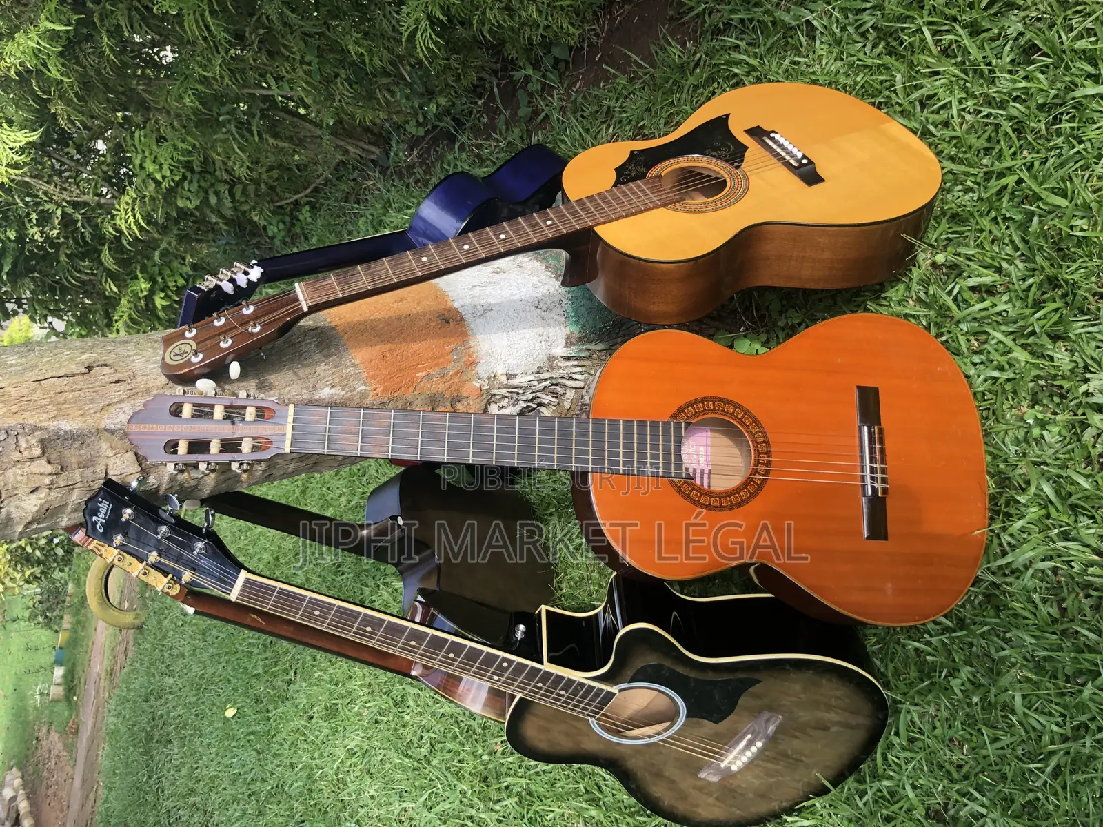 Guitare Acoustique Et Classique