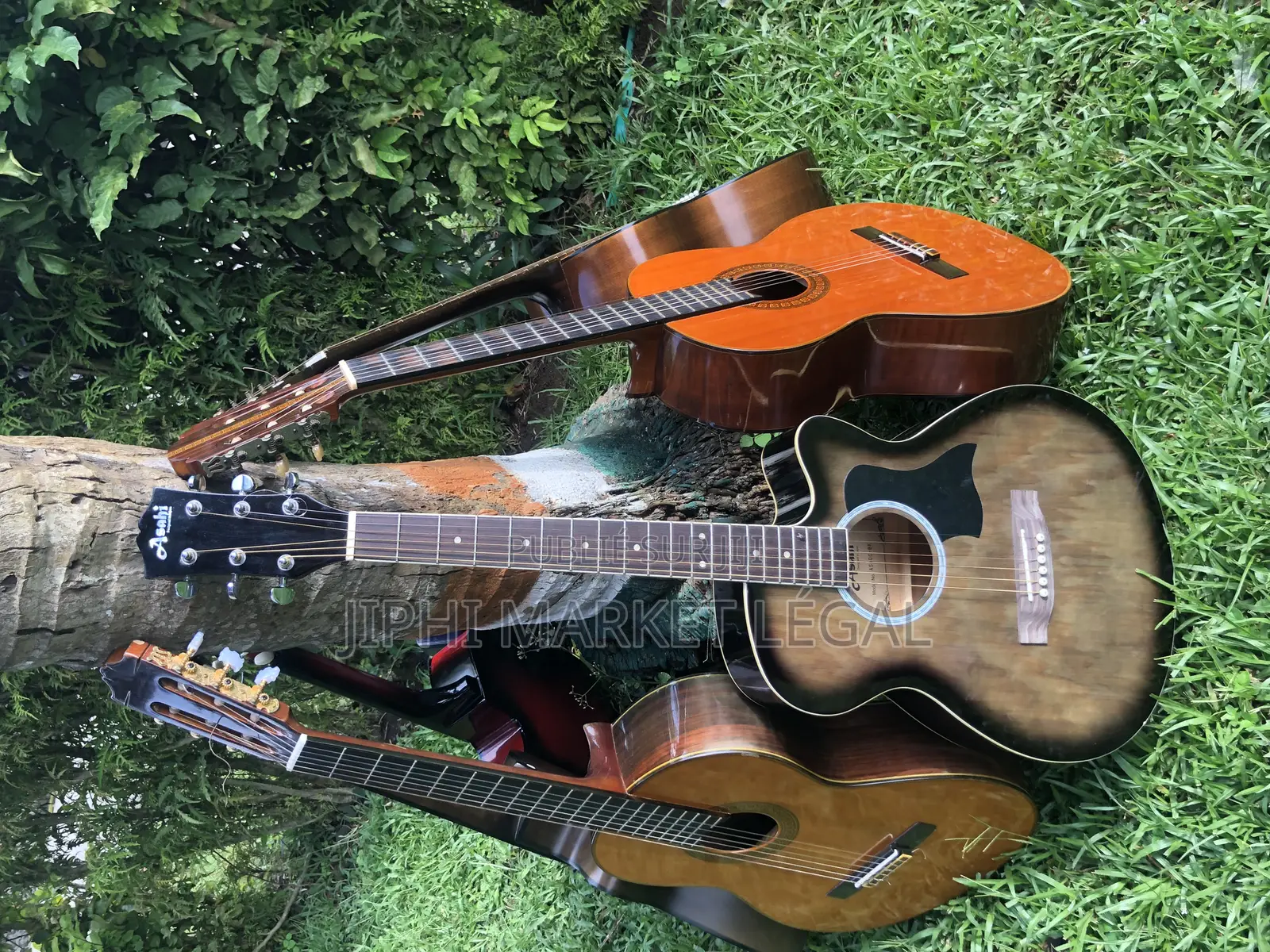 Guitare Acoustique Et Classique