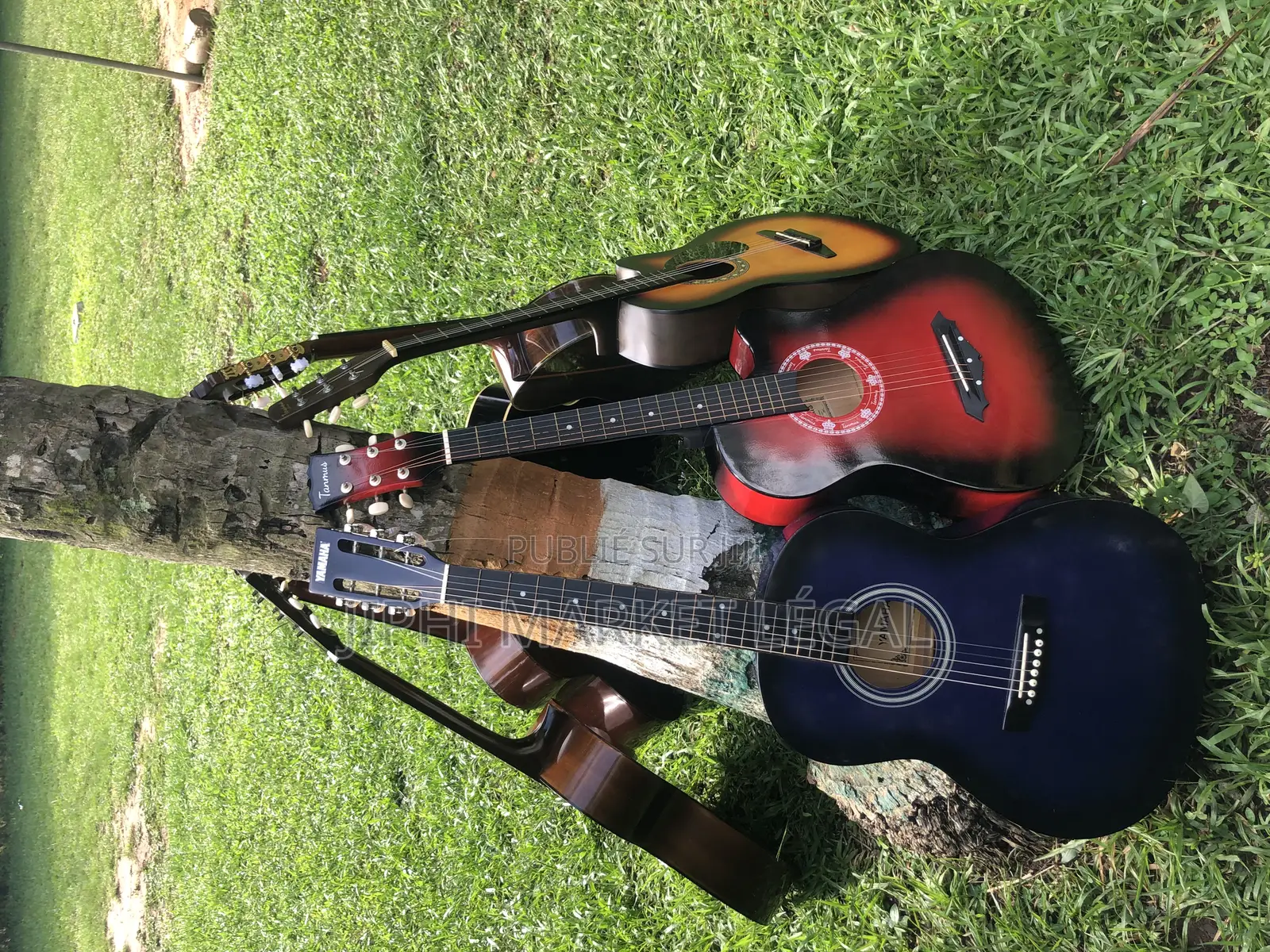 Guitare Acoustique Et Classique