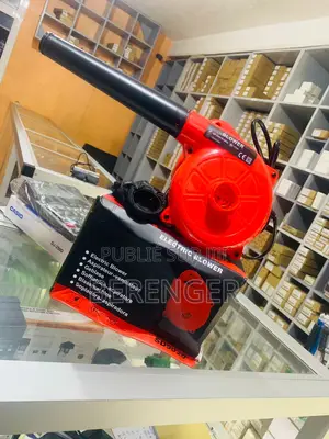 Photo - Souffleur Électrique 700w