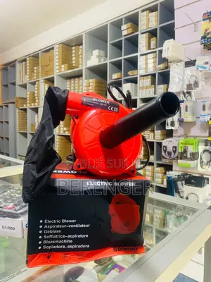 Souffleur Électrique 700w