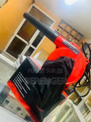 Souffleur Électrique 700w