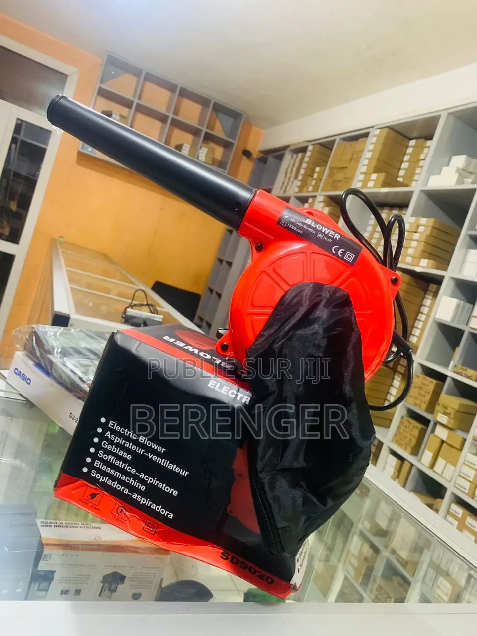 Souffleur Électrique 700w