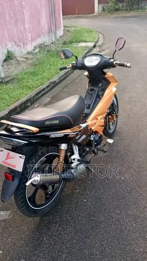 KTM 2024 Orange