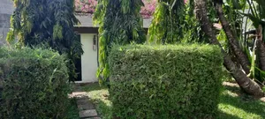 Furnished 7chbre Duplex dans Zié Multi-Service, Marcory à Vendre