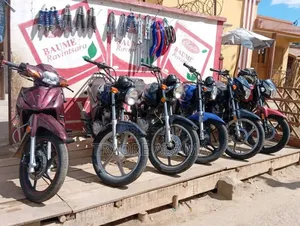 New TVS HLX 125 2024