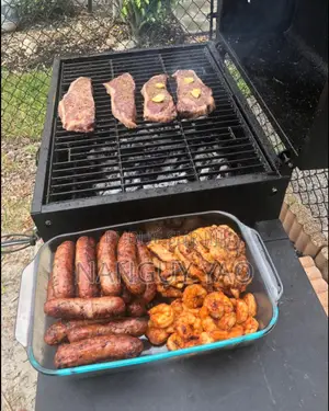 Grill Barbecue Au Charbon De Bois