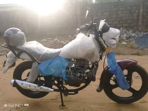 New Apsonic AP125-30 2025 Doré