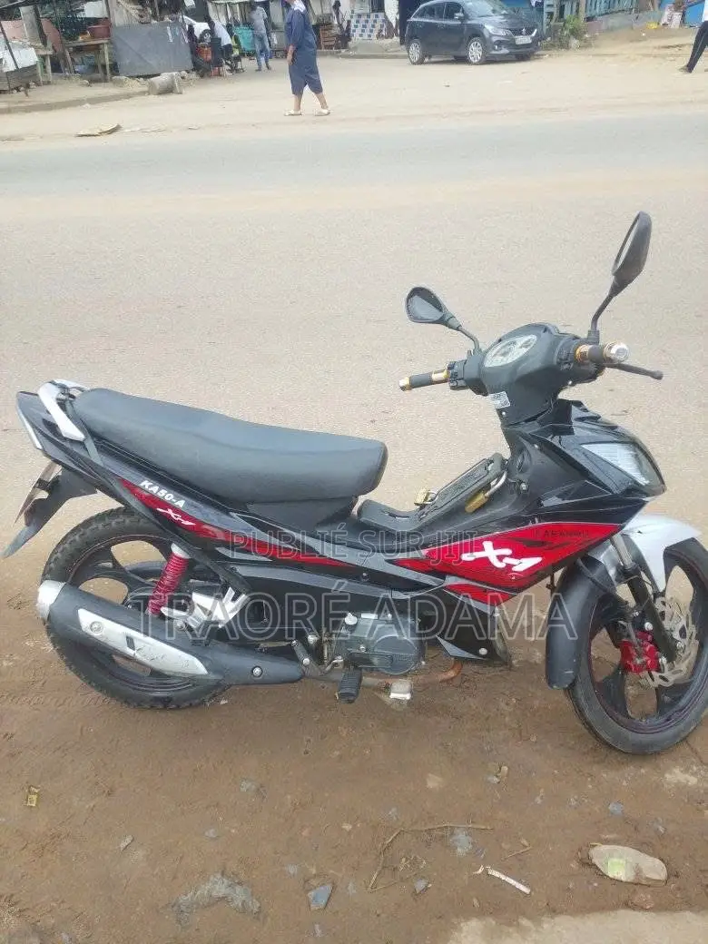 New Apsonic AP Z-ONE 2023 Rouge