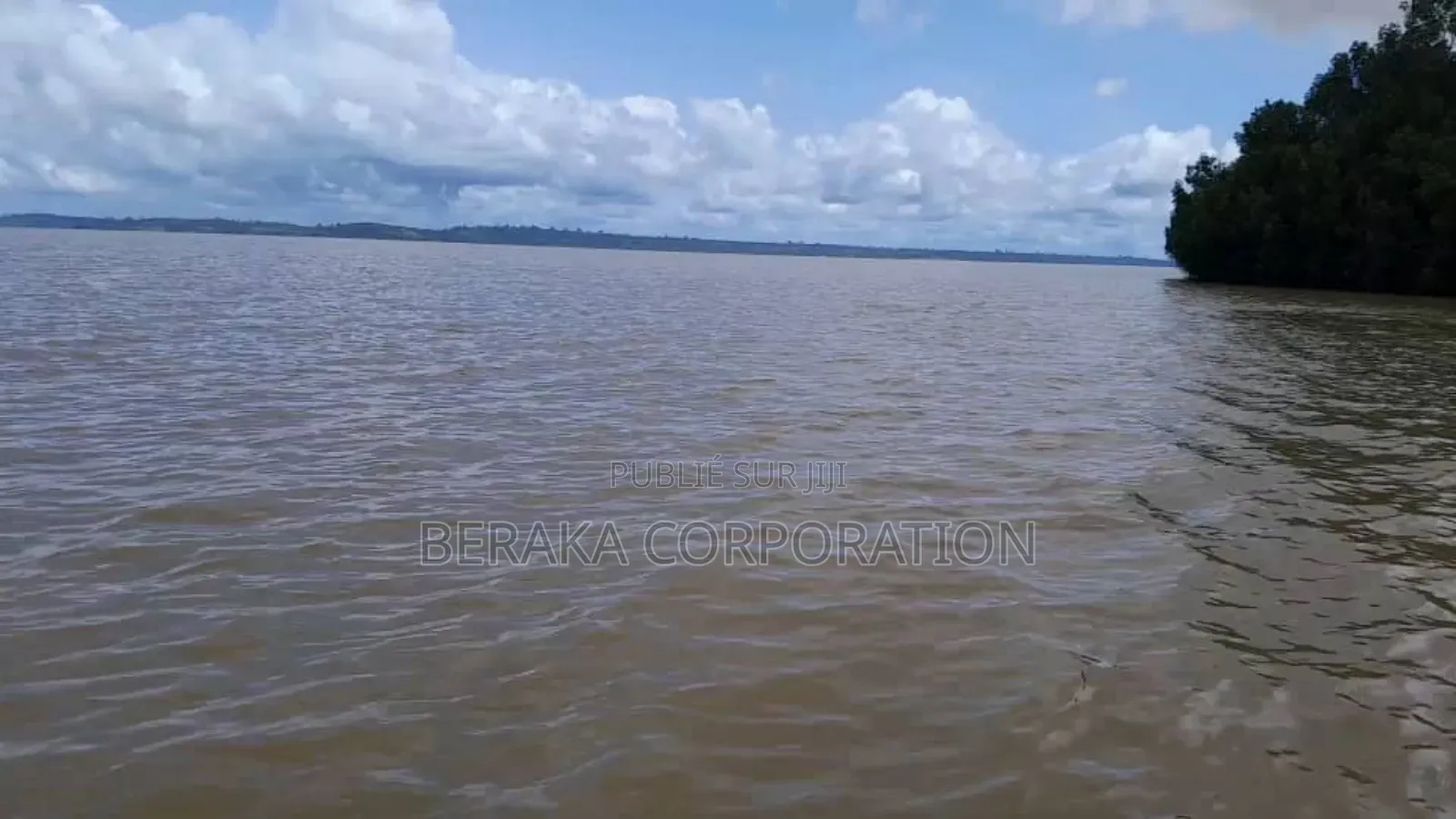 5 Ha En Vente Assinie France Village