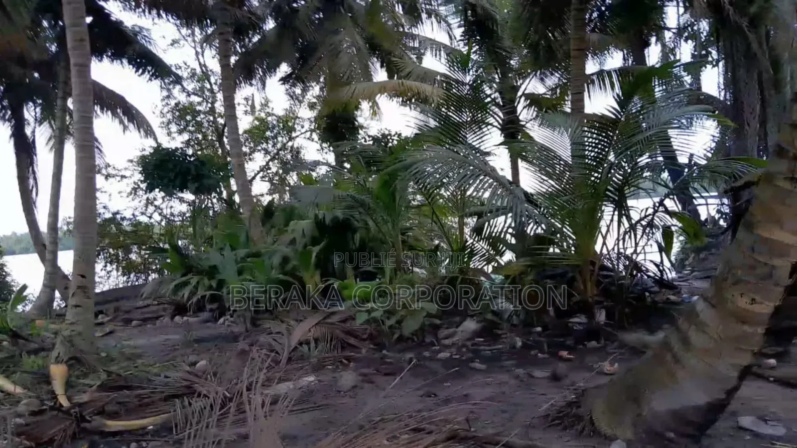 5 Ha En Vente Assinie France Village