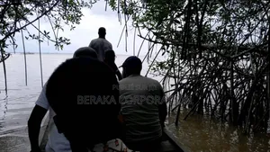 5 Ha En Vente Assinie France Village