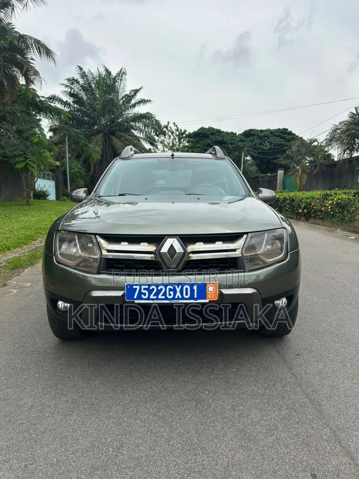 Renault Duster 2015 Vert