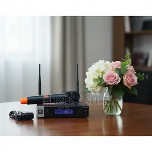 Système Microphones Sans Fil Ritmix RWM-230