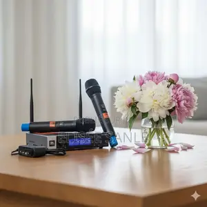 Système Microphones Sans Fil Ritmix RWM-230