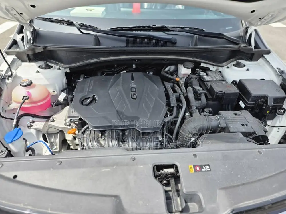 Kia Sportage X-Line 2023 Blanc