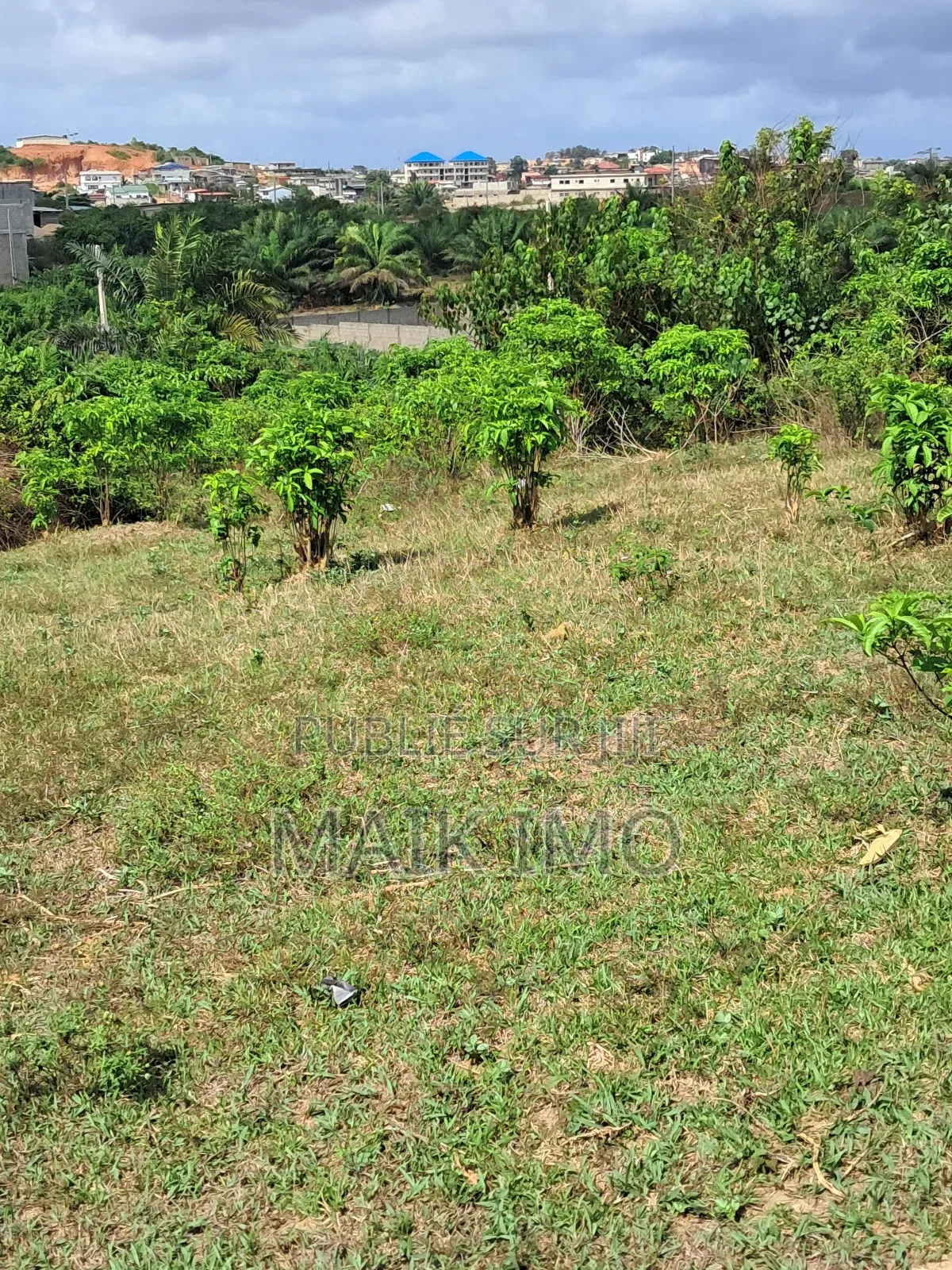 Terrain en Vente À San-Pedro