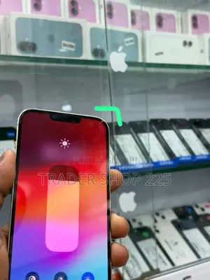 Apple iPhone 13 Pro Max 128 GB Argenté