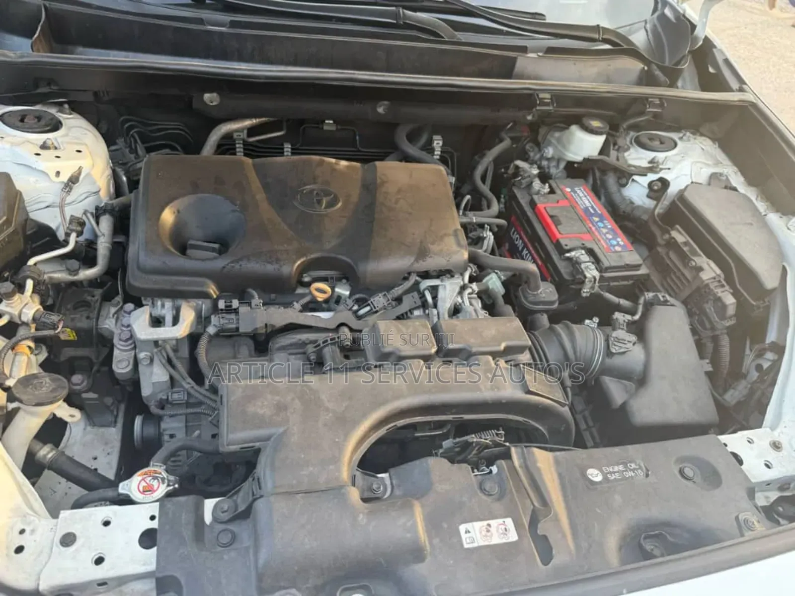 Toyota RAV4 XLE 2021 Blanc