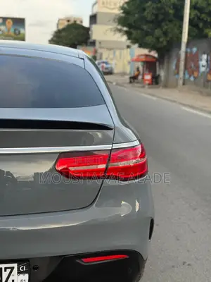 Photo - Mercedes-Benz GLE43 3.0 AWD 2016 Gris