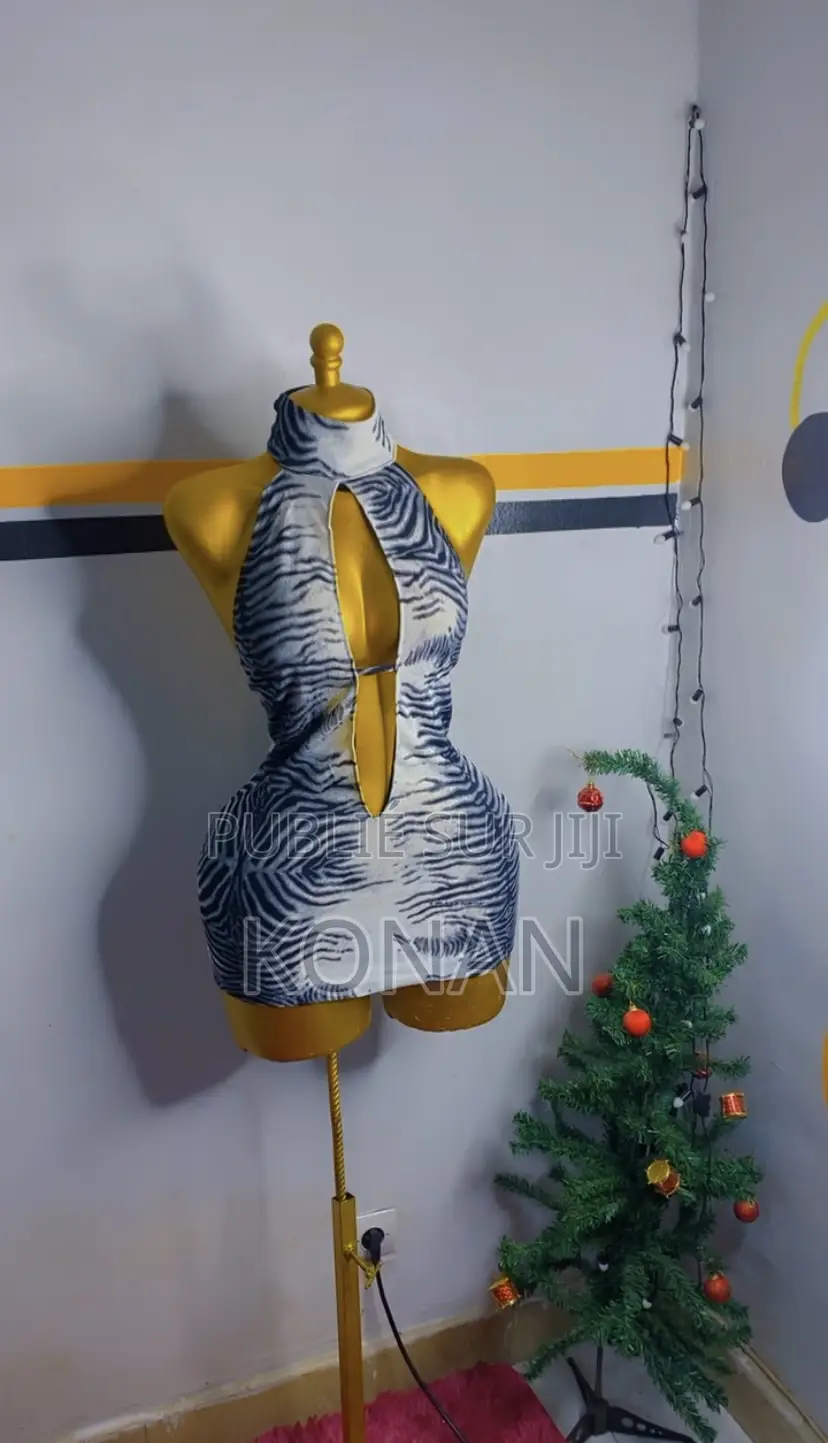 Robe Glamour Et Moderne Pour Femmes