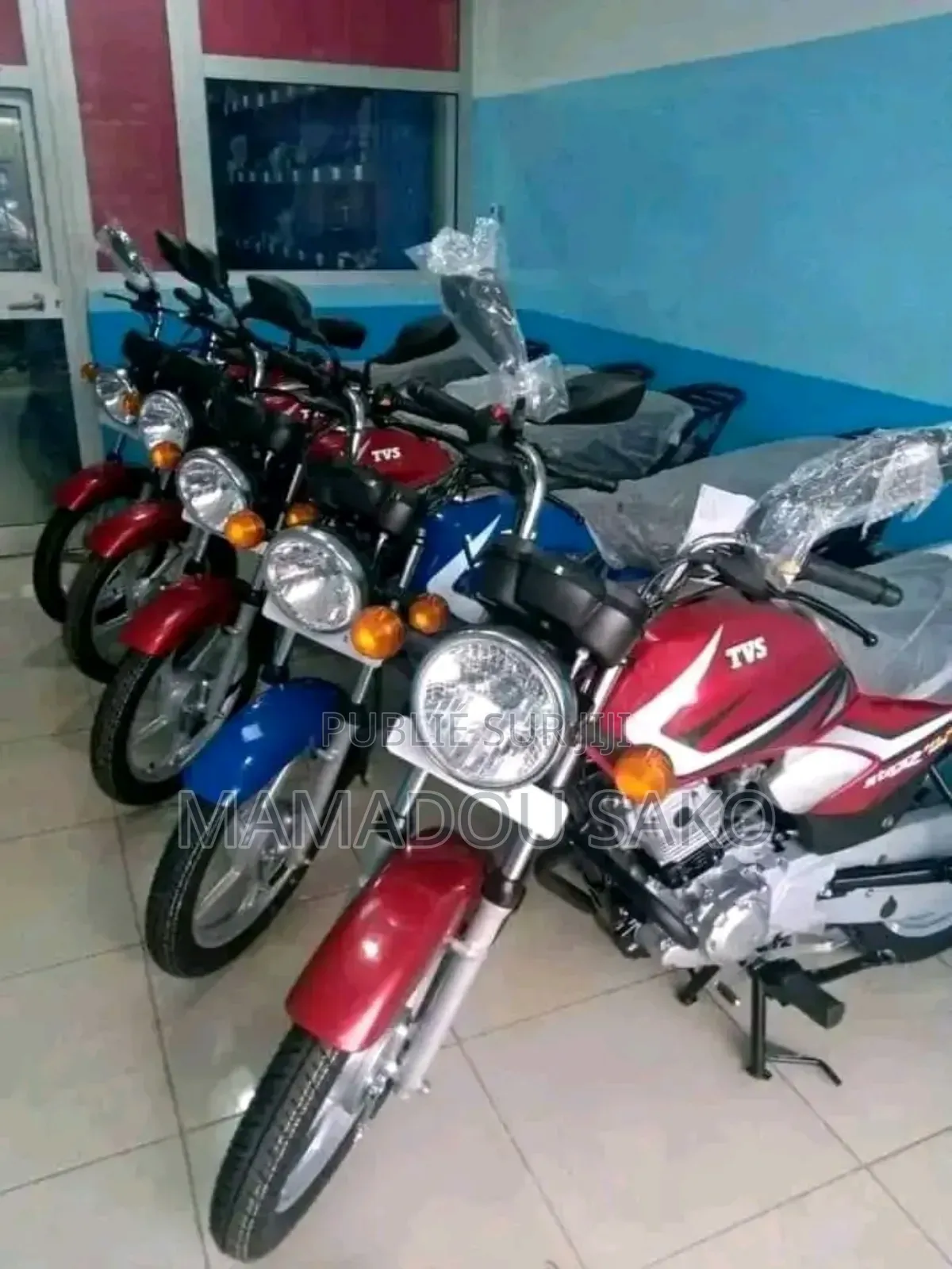 New TVS HLX 125 2024 Rouge