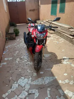 Photo - New TVS 2014