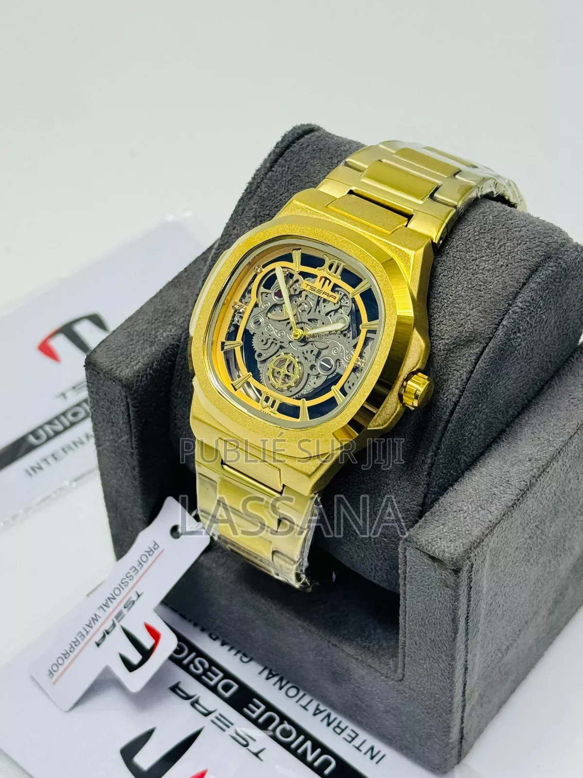 Montre Squelette Tsera