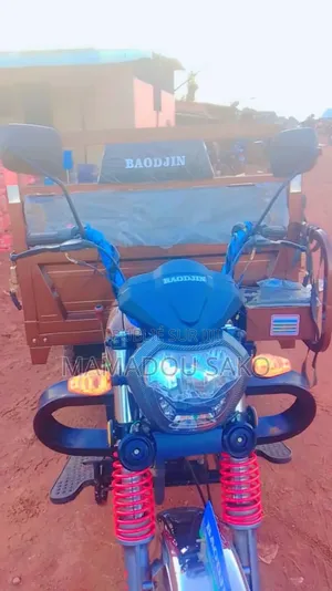 New Apsonic AP150X-II 2024 Doré