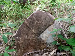 Photo - Terrains, Carrières Disponibles