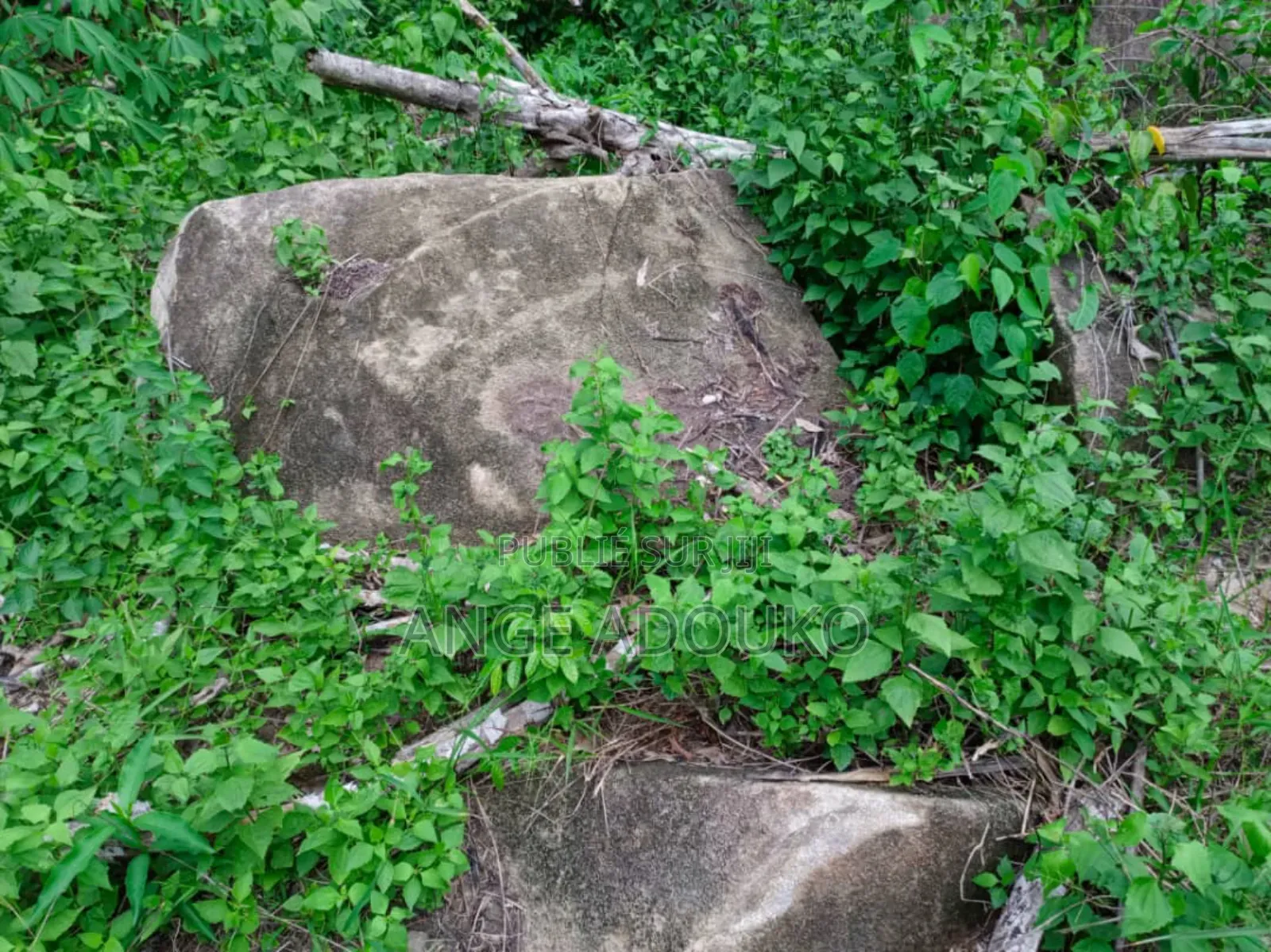 Terrains, Carrières Disponibles