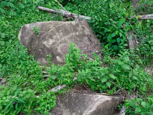 Terrains, Carrières Disponibles