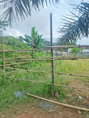 Terrains, Carrières Disponibles