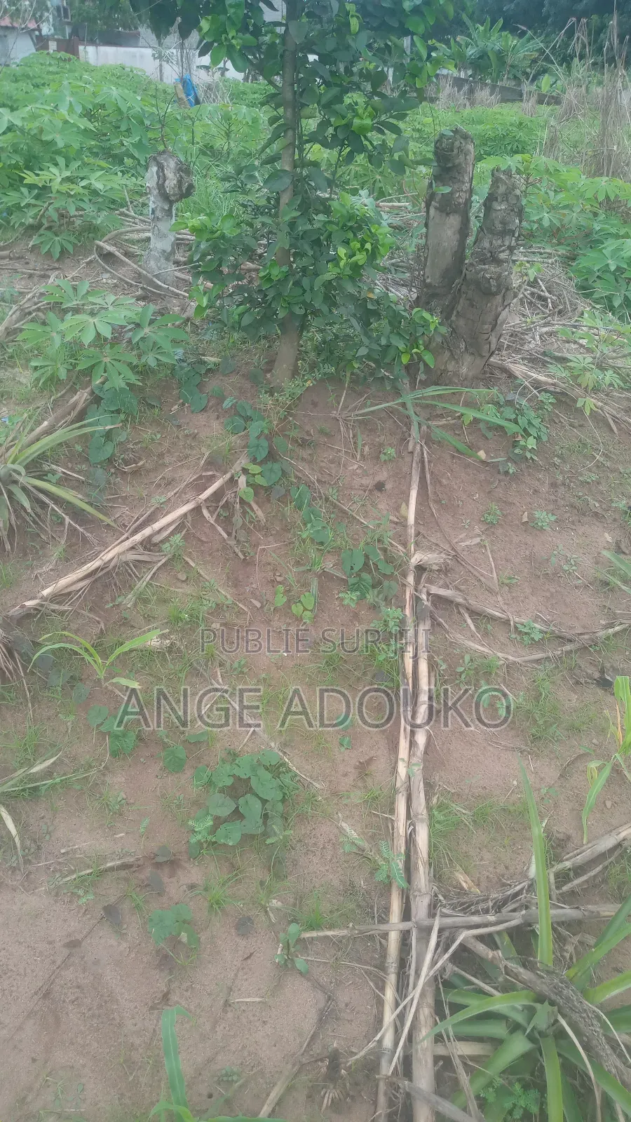 Terrains, Carrières Disponibles