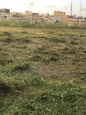 Terrain À Vendre À