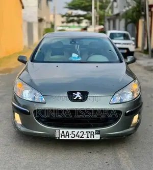 Peugeot 407 2.0 ST Comfort Automatic 2007 Gris