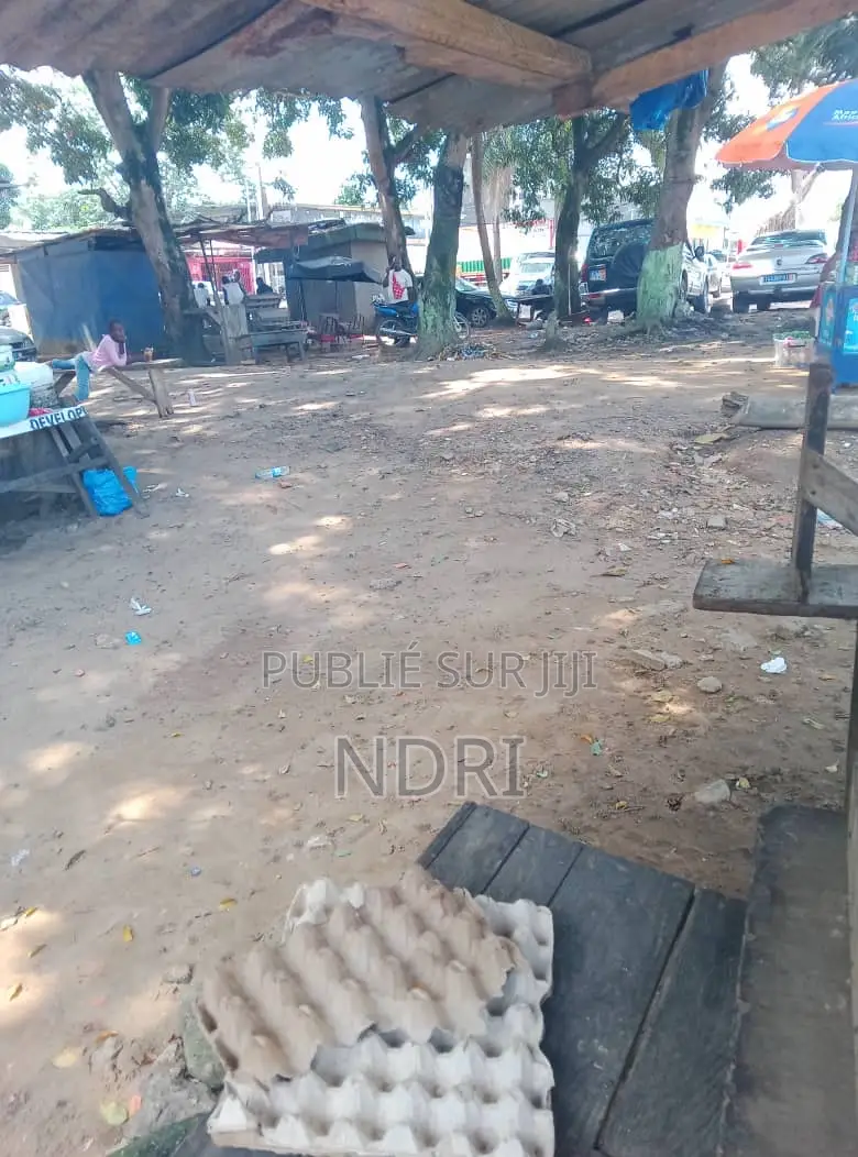 Vente De Terrain À La Riviera 2