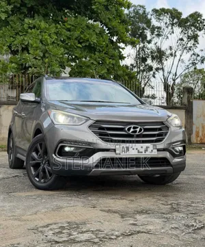 Photo - Hyundai Santa Fe 2019 Gris