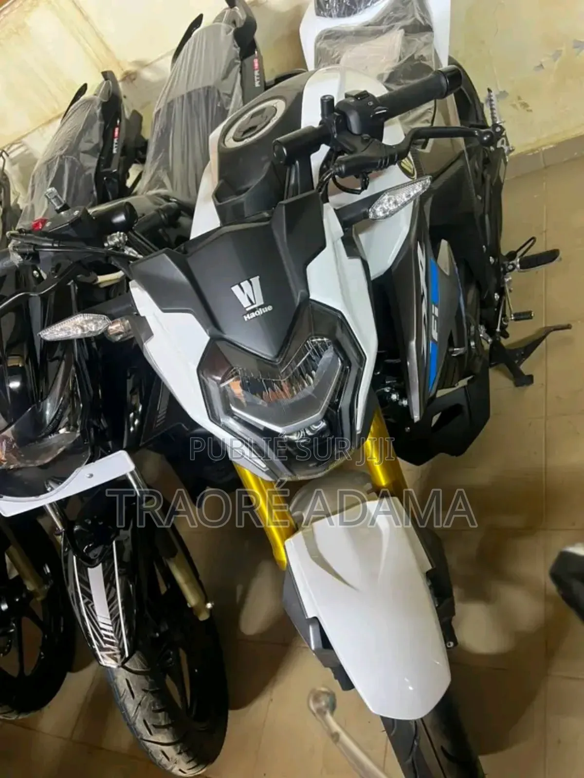 New Haojue DR300 2025