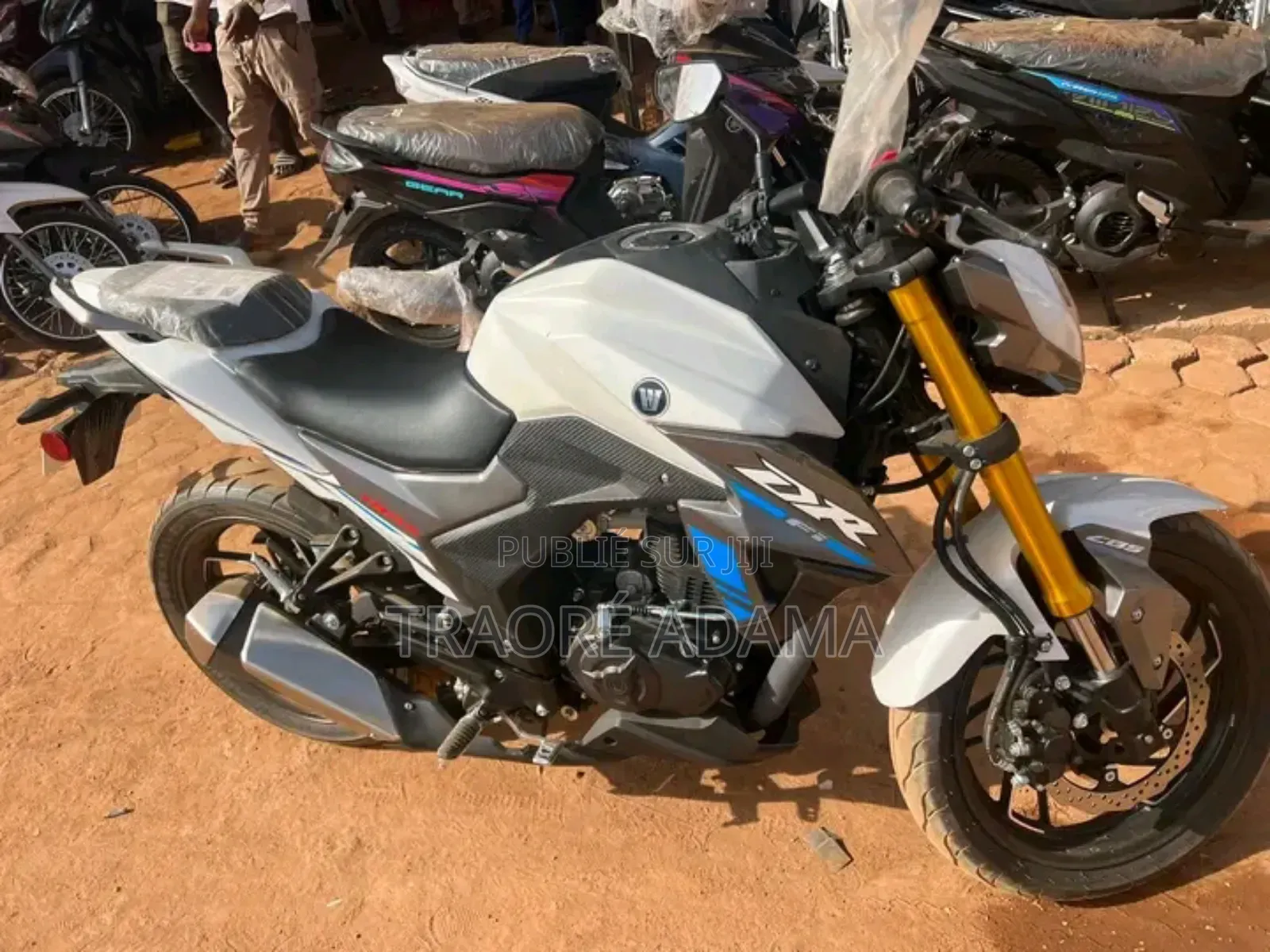 New Haojue DR300 2024