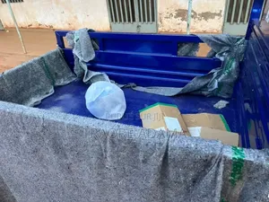 Photo - New Apsonic AP150-175 2024